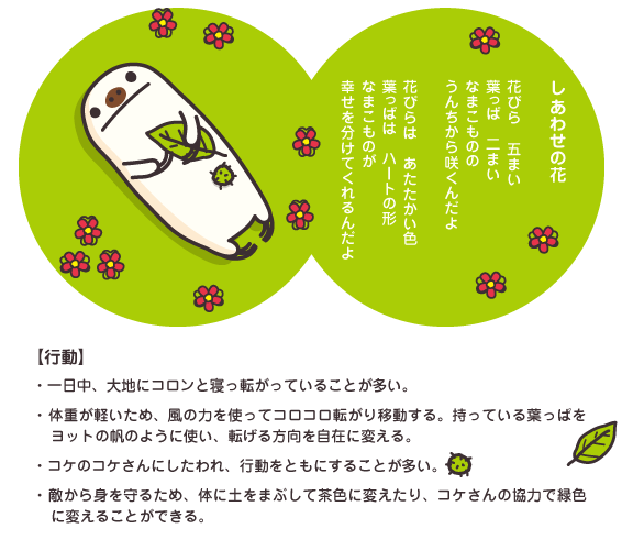 なまこもの Secotland